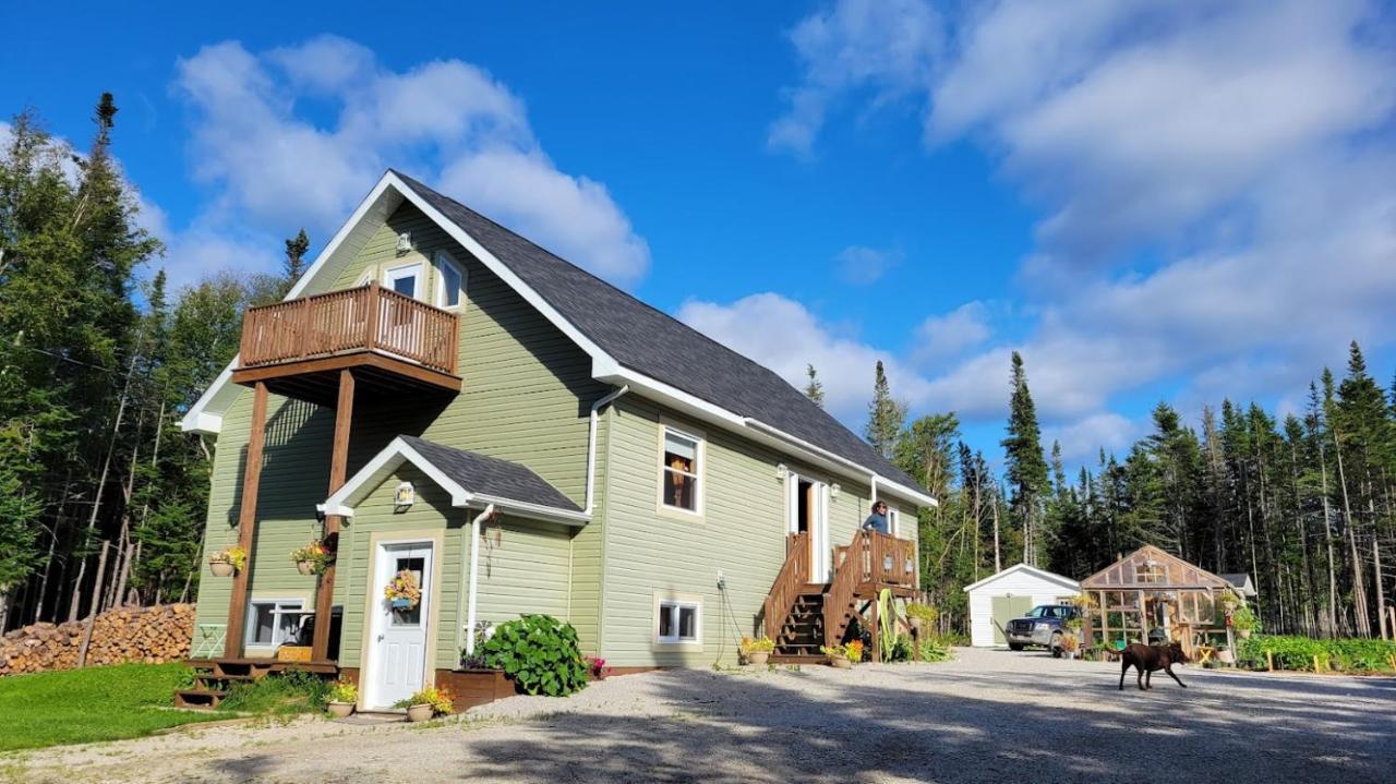 Upper Humber Settlement A Farmstay B&B Cormack Exterior photo