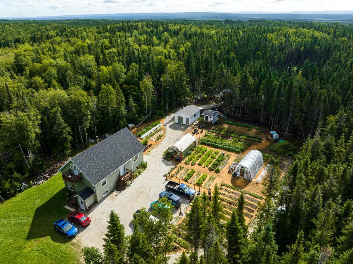 Upper Humber Settlement A Farmstay B&B Cormack Exterior photo